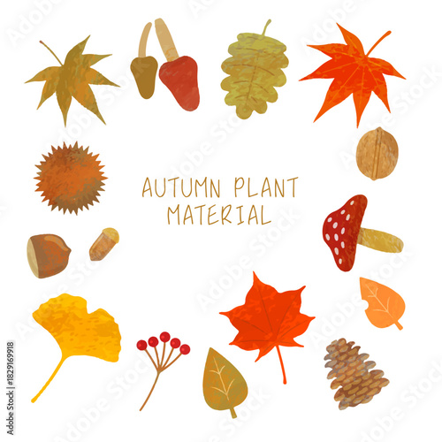 秋の植物のイラストセット