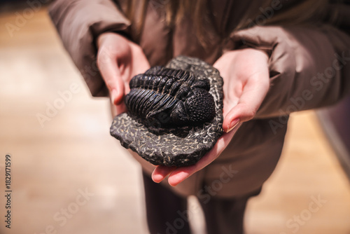Hands holding a well-preserved trilobite fossil on a textured stone slab