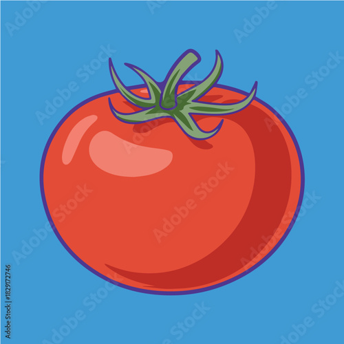 Find fresh red tomato vegetable illustration for cooking recipes and healthy eating vector graphics design needs