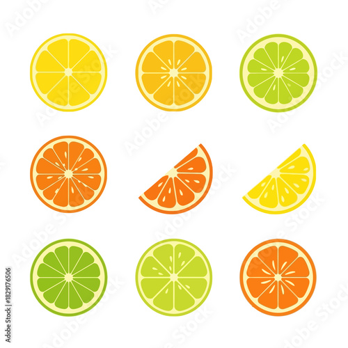 Citrus Fruit Collection with Colorful Slices of Orange, Lemon, Lime, and Grapefruit