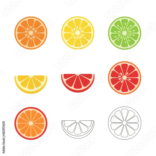Assorted Citrus Fruit Cross-Sections with Colorful and Line Art Variations
