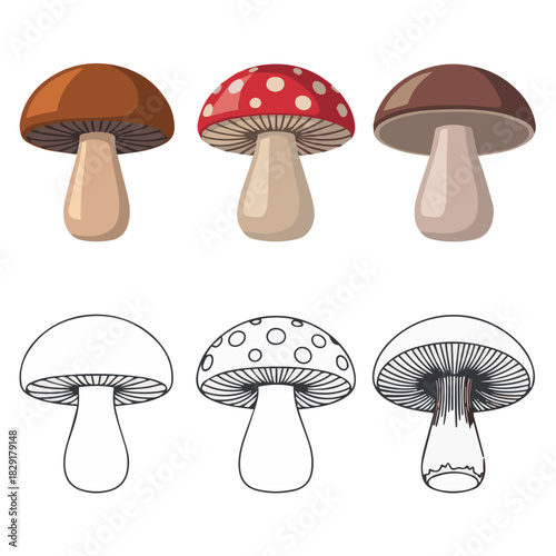 Mushroom illustration set of edible and poisonous variety with outline drawing for coloring pages art 100