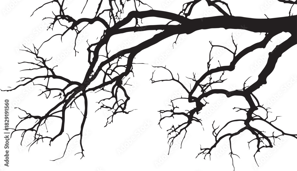 Fototapeta premium Bare tree branches silhouette in autumn winter season with dark tone nature scene