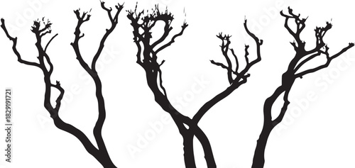 Silhouette of bare trees with branches on transparent background in darkness