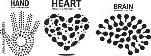Molecular structures of hand heart and brain in black color isolated on transparent