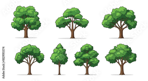 Set of Six Cartoon Trees with Different Crowns, Vector Illustration