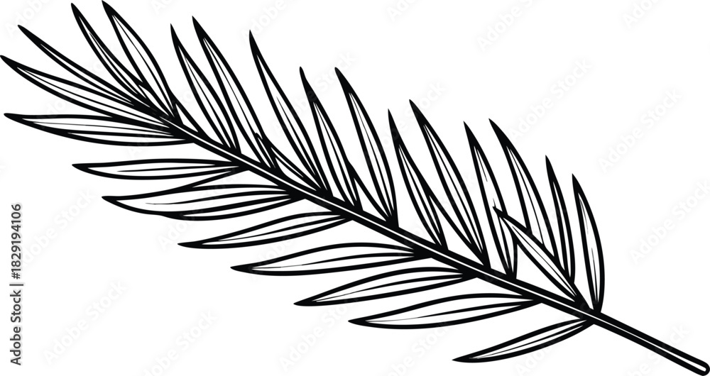 Fototapeta premium Hand drawn illustration of a delicate palm frond in black and white