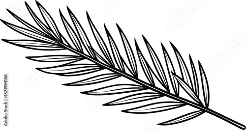 Hand drawn illustration of a delicate palm frond in black and white