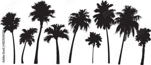Tropical palm tree silhouette set isolated on white background – beach coconut tree black vector illustration for summer, vacation, or tropical design