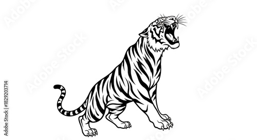 This dynamic black and white vector illustration captures a powerful tiger roaring fiercely, an isolated graphic element suitable for various design applications.
