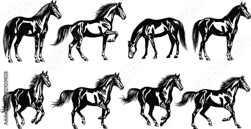 Set of black horse silhouettes in various dynamic poses: standing, rearing, running, and grazing vector illustration for equestrian sports, racing, farms, and branding.