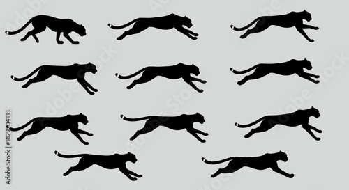 A dynamic vector illustration showcases a running tiger silhouette, perfect for design projects, featuring a sequence of movements against a neutral backdrop, ideal for various creative applications.