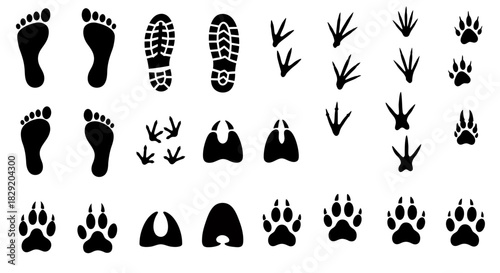 A comprehensive collection of black silhouette footprints and paw prints from humans, shoes, and various animals, isolated on a clean white background.
