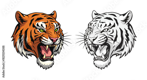 A fierce illustration of a roaring tiger head in vector format, showcasing its power and intensity, available in both orange and white color variations.