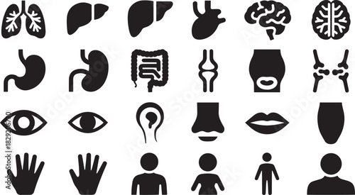 Human anatomy icon set vector – organs, brain, heart, stomach, eyes, and body silhouette collection for medical, biology, or healthcare design