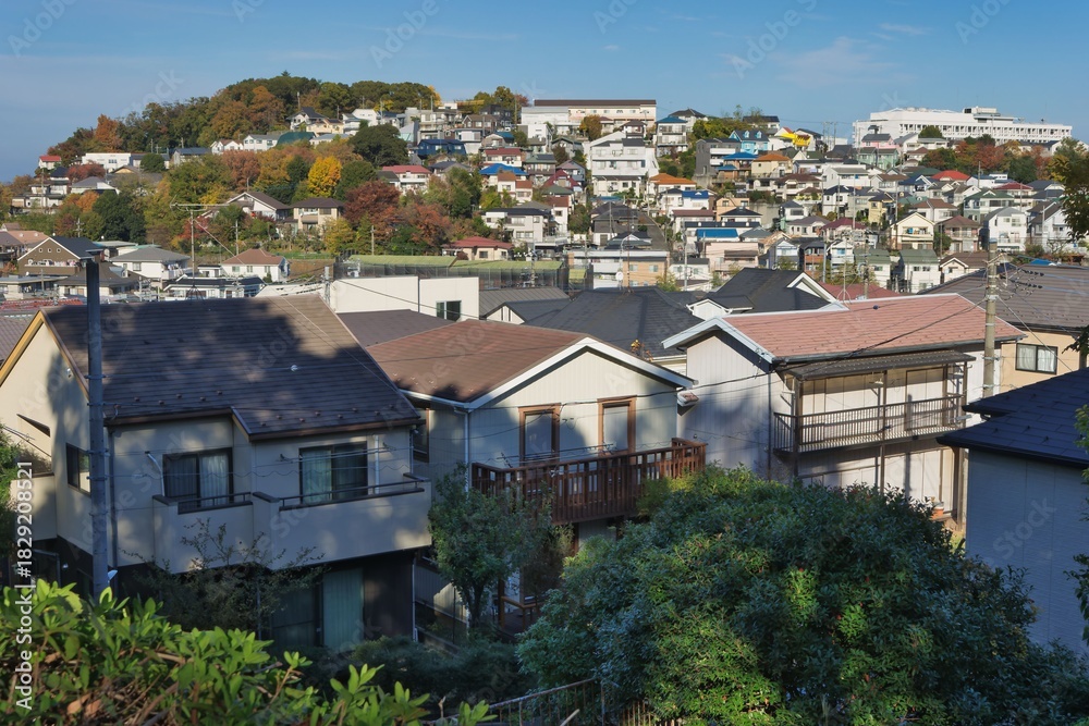 Obraz premium 高台から見る街の風景