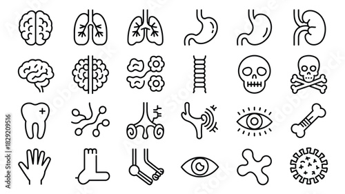 Anatomical organs and human body parts outline collection of internal and external elements