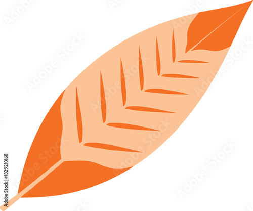 Monochromatic Orange Leaf Vector with Chevron Veins, Modern Abstract Botanical Element for Fall Design