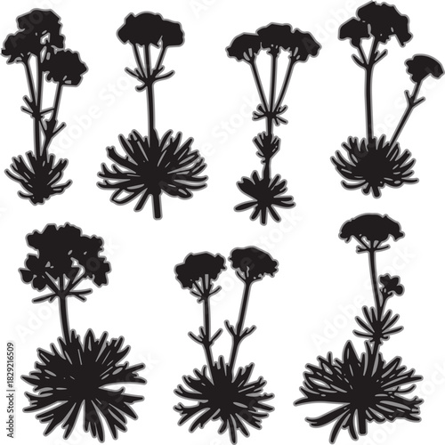 Flowering plant silhouette icon set illustration, botanical design, black and white, nature element, vector graphic, minimal, garden, art