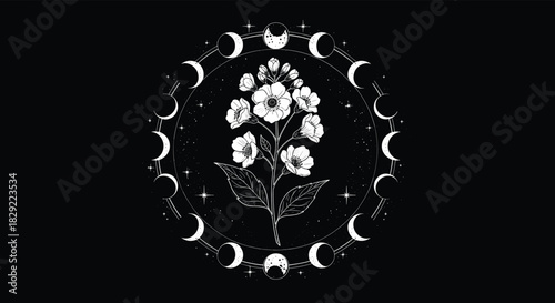 Mystical illustration featuring a detailed flowering plant encircled by the phases of the moon on a starry black background.
