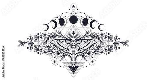 Mystical illustration of a moth with floral branches, moon phases, and intricate sacred geometry symbols in a spiritual design.