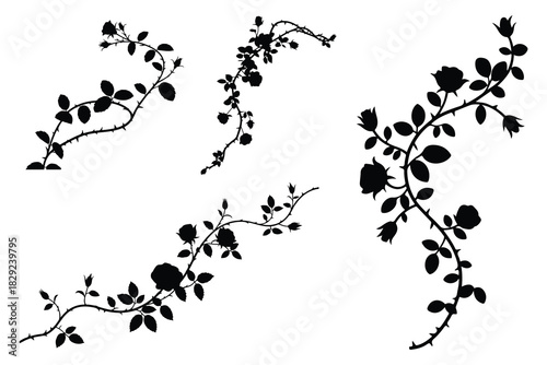 Black rose branches with thorns and leaves silhouettes