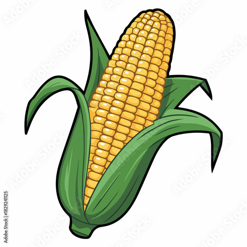 Vector illustration of fresh corn on the cob with green leaves perfect for agriculture and healthy food designs