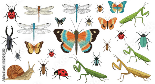 An illustrative collection of diverse insects including butterflies, beetles, and dragonflies, alongside a snail, on a white background.