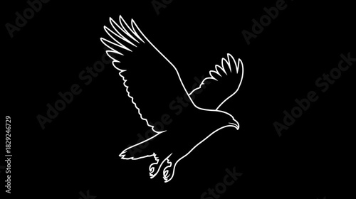 White outline illustration of a majestic eagle or hawk in flight. Minimalist black and white graphic design of a soaring bird of prey.