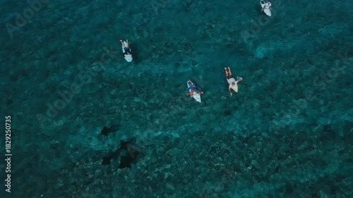 An aerial view of the reef: surfers swim above the silhouette of a manta ray in crystal turquoise water, surfboards grouped together