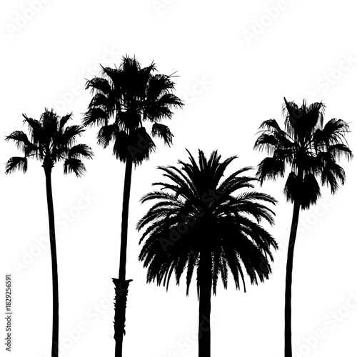Silhouette of five palm trees against a