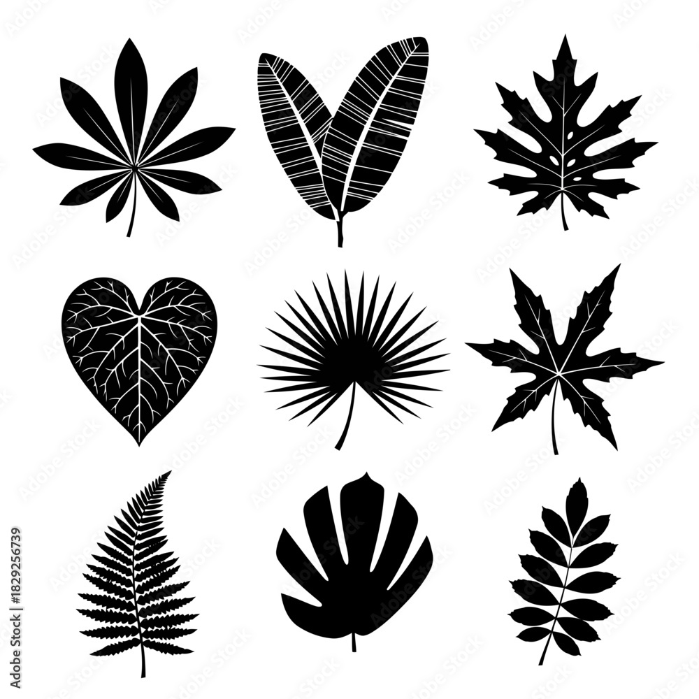 Fototapeta premium Set of nine different leaf shapes in black and white