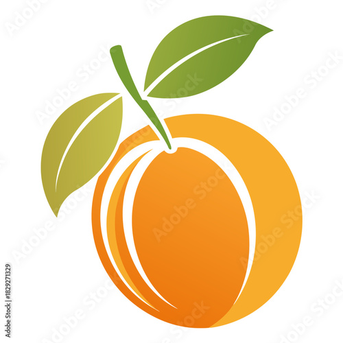 aprico  silhouette  on white background