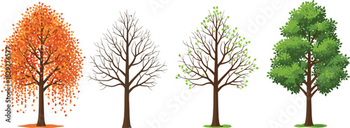 Four seasonal trees illustration, autumn winter spring summer nature cycle, deciduous tree change, vector art, cad drawing flat vector illustration