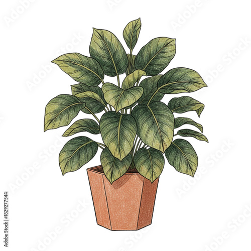 plant in a pot cut out 