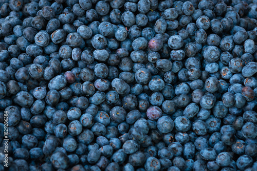 Fresh ripe blueberries tightly packed with natural texture and variation