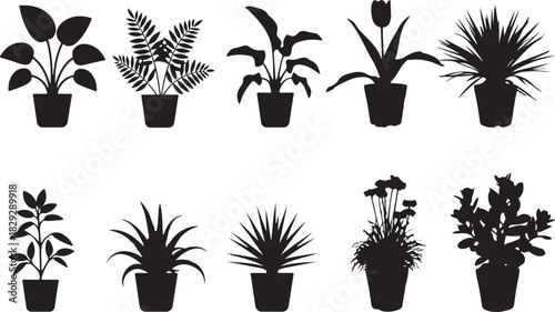 Vector file text illustration on clean white background representing digital graphics