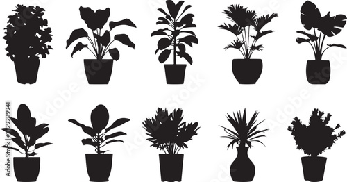 Generic vector file illustration for design, web graphics, scalable artwork, digital assets