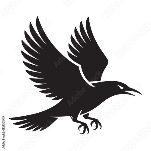 Raven in flight isolated on white background, symbol of mystery and magic, vector illustration for tattoo or logo design