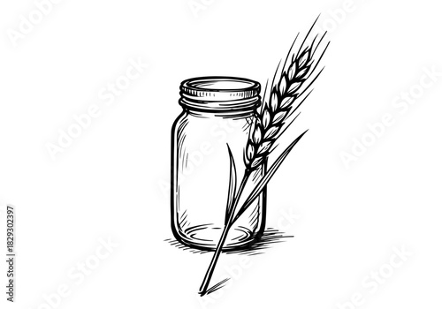 Wheat hand drawn simple sketch vector illustration