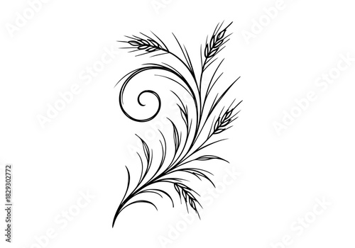 Wheat hand drawn simple sketch vector illustration