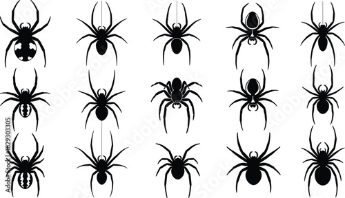 Set of Scary Black Spider Silhouettes in Various Poses Vector Illustration for Halloween Horror Insect Phobia and Web Design Elements.