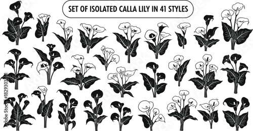 Isolated Calla Lily Flower Set in 41 Different Black Silhouette and Outline Styles Vector Illustration for Floral Wedding and Nature Design.