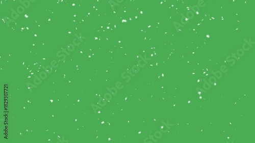 Snowfall with green screen backdrop. Seamless loop.