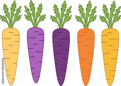 Colorful Digital Illustrations of Carrots in Purple Orange and Yellow with Fresh Green Leaves on a Transparent Background