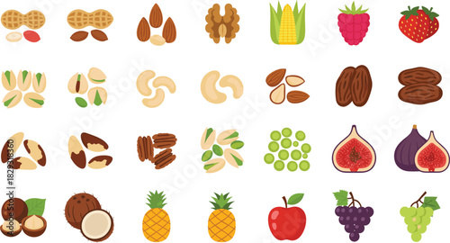 Mega Healthy Food Vector Set Featuring Nuts, Seeds, and Fruits Including Almonds, Walnuts, Pistachios, Cashews, Peanuts, Figs, Coconuts, and Grapes for Nutrition.