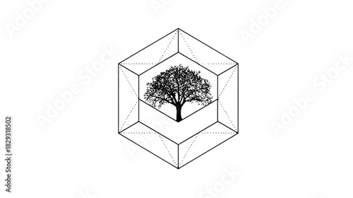 Abstract geometric illustration of a detailed tree contained within nested transparent cube outlines, symbolizing nature, structure, and conceptual growth.