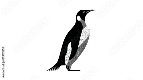 Elegant Black and White Penguin Illustration Standing Isolated on a Clean White Background, Monochrome Wildlife Art