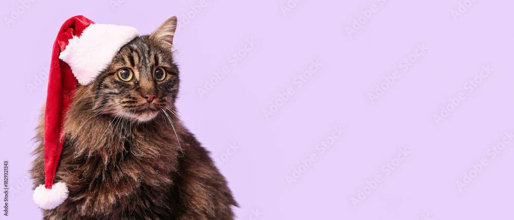 Naklejka premium Cute cat in Santa hat on lilac background