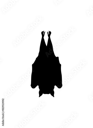 Eerie bat silhouette perfect for Halloween designs, invitations and scary themed decor